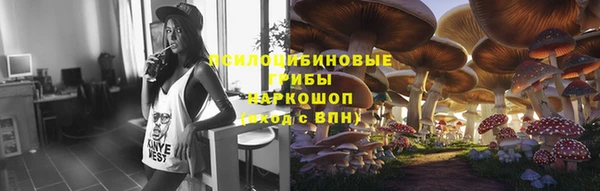 метамфетамин Алексеевка