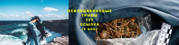 молекула духа Нязепетровск